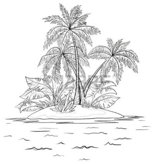 Grey Palm Tree Tattoos Designs